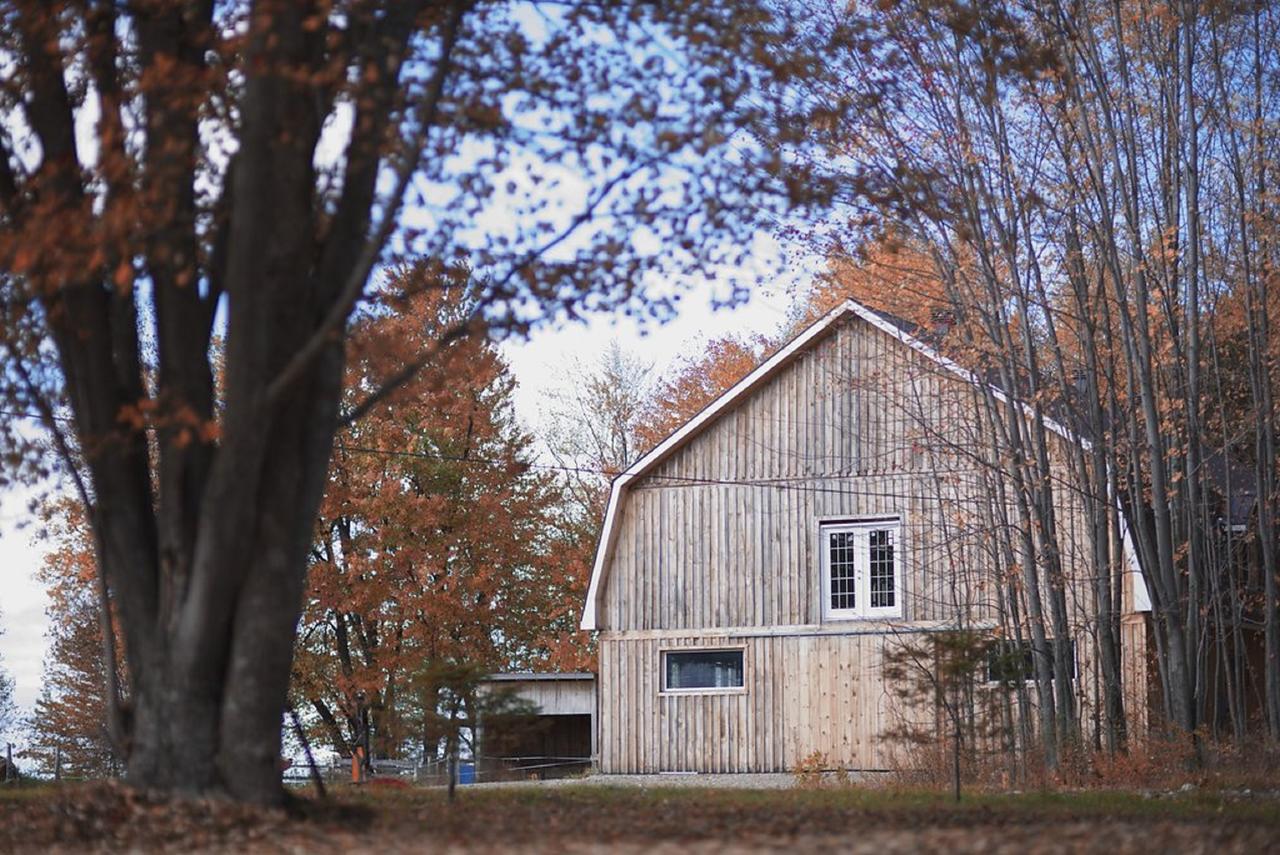 Gite O'Bordeleau (Adults Only) Luskville Exterior foto